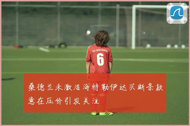 桑德兰未激活海特勒伊达买断条款意在压价引发关注