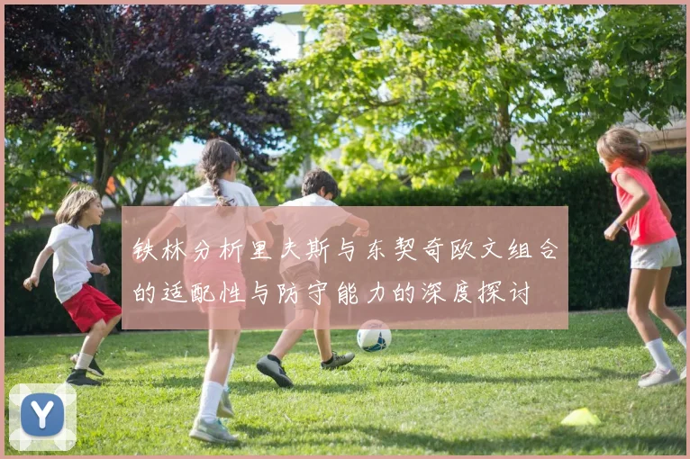 铁林分析里夫斯与东契奇欧文组合的适配性与防守能力的深度探讨